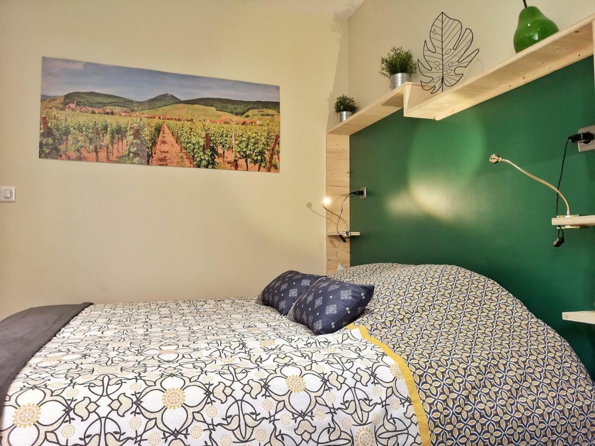 Apartment Splendide Centre Colmar