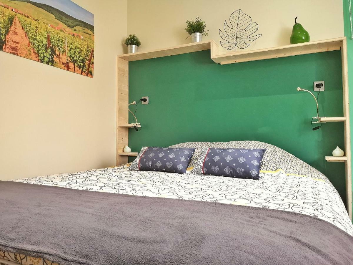 Splendide Centre Apartment Colmar